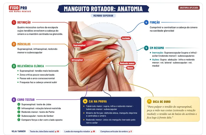 Mapa: Manguito rotador